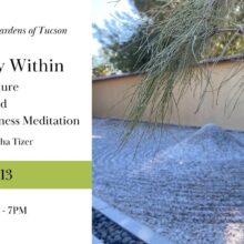 Harmony Within – Lecture and Guided Mindfulness Meditation with Lhasha Tizer