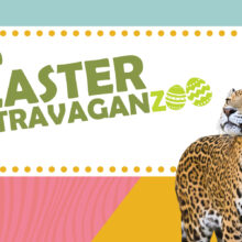 Easter ExtravaganZOO
