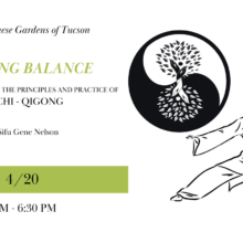 FLOWING BALANCE – An Introduction to the Principles and Practice of TAI CHI – QIGONG