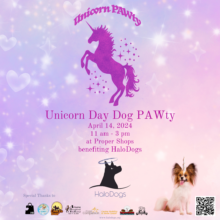 Unicorn Day Dog PAWty
