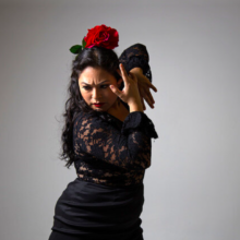 Flamenco in Community