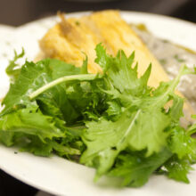 Primavera Cooks! – Feast (June 12)