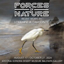 FORCES OF NATURE Photographic works by Lorraine DarConte