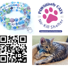 Happy Birthday PAWSitively CATS – Wine Tasting Celebration