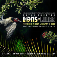 Free Opening Art Reception