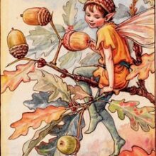 Acorn Gatherers