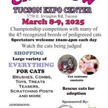 The Catalinas Cat Club returns cat shows to Tucson