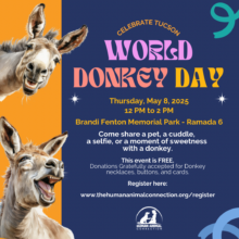 Meet the Therapy Donkeys