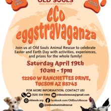 Old Souls Animal Rescue ECO-EGGSTRAVAGANZA