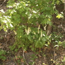 High in the Mountains