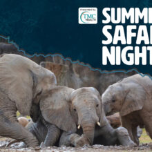 Summer Safari Nights: School’s Out! Teacher Appreciation Night
