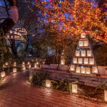 LightsUp! A Festival of Illumination