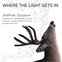 Reception- “Where the Light Gets In”