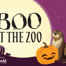 Boo at the Zoo October 23 through 26, 2025