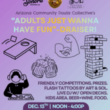 Adults Just Wanna Have Fun-draiser!