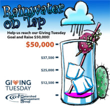 10th Annual RainWater on Tap