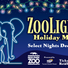 ZooLights 2025