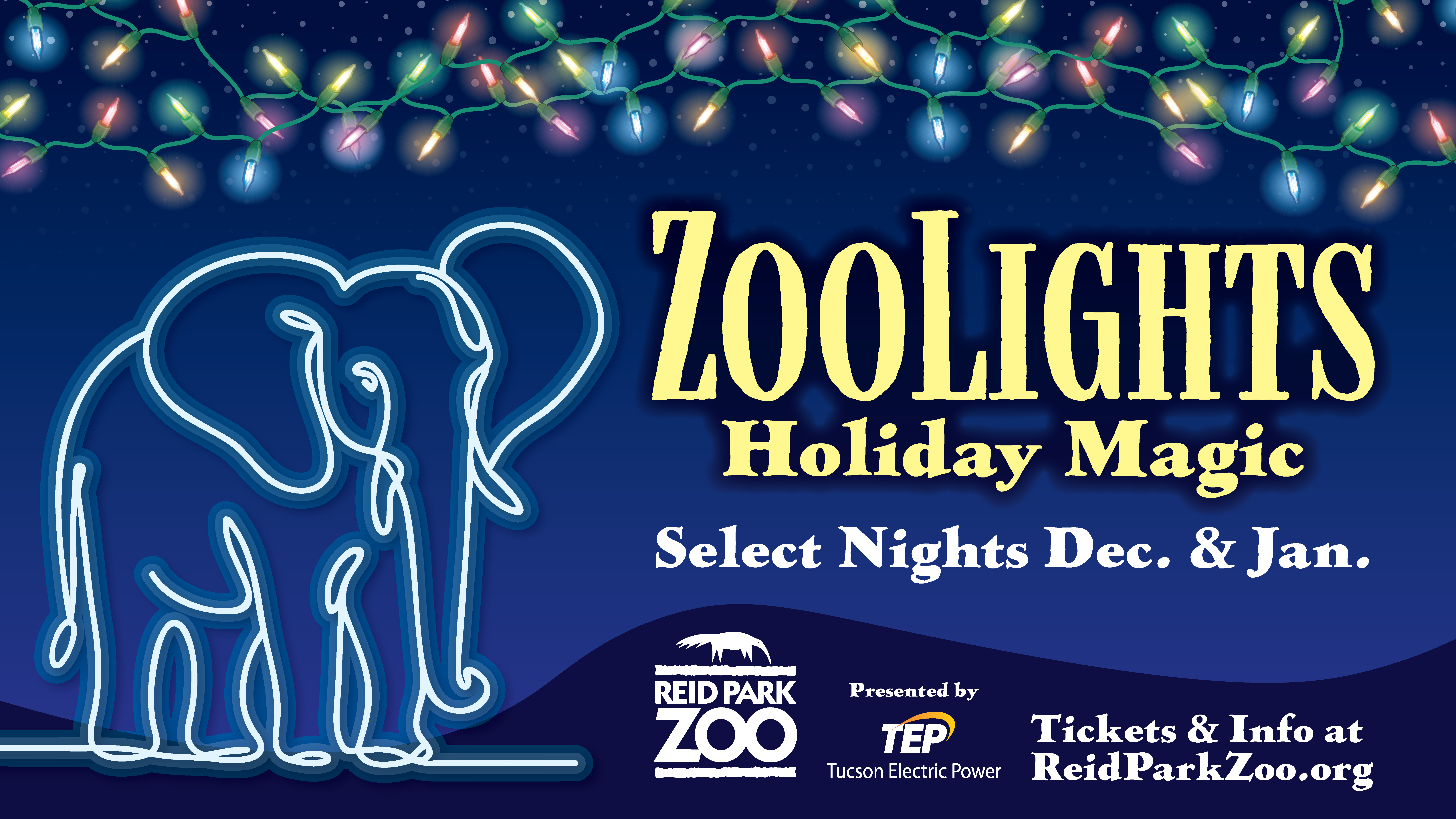 ZooLights Encore Nights 2025-2026 / KXCI