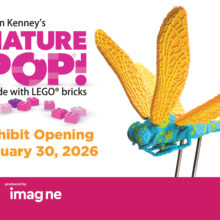 Sean Kenney’s Nature Pop!
