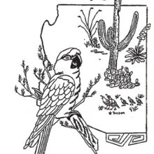 2026 Tucson Spring Bird Fair & Competition