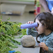 Little Critters: Earth Day Celebration