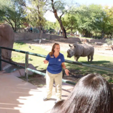 Rhino Behind-the-Scenes Experience