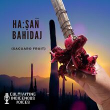 Ep. 54 Ha:ṣañ Bahidaj (Saguaro Fruit) – A Cultural Story