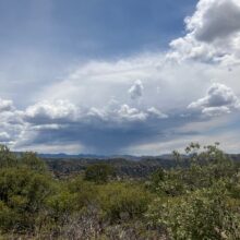 Magical Monsoon Moisture