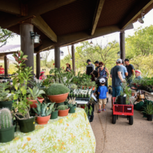 Monsoon Market Rolls into Tohono Chul July 17 and 18