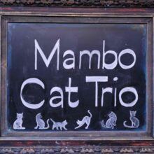 Mambo Cat Trio – Locals Only