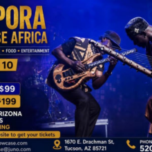 Diaspora Showcase Africa