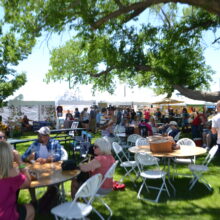 Discover Arizona’s Wine Country at the Willcox Fall Festival