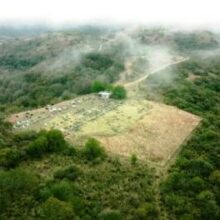 Our Land