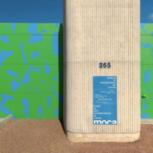 Opening Reception and Artist Lecture at MOCA Tucson