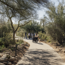 Tohono Chul Set to Unveil New 15-Year Master Plan